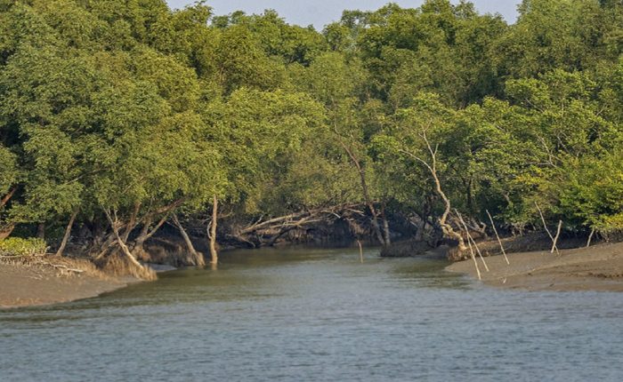 Sundarban tour package